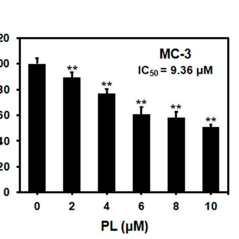 Anti Proliferative And Cytotoxic Effect Of PL In Oral Cancer Cell