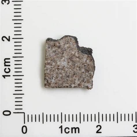 Tirhert Eucrite Meteorite Tirh 15 The Meteorite Exchange Inc