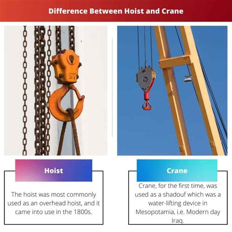 Hoist Vs Crane Difference And Comparison