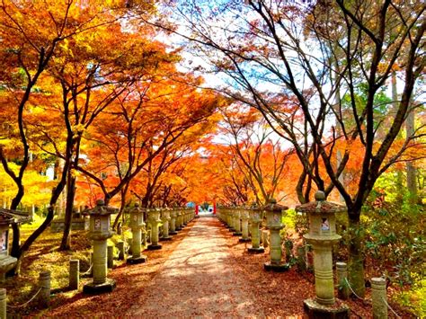 一度は見ておきたい重要文化財シリーズ・京都の旅編・その2 お墓きわめびとの会