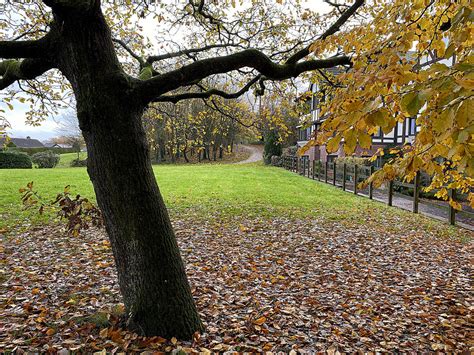 Fallen Leaves Arleston Park Kenneth Allen Cc By Sa