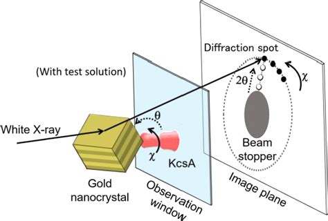 Figure From Microfabricated Sin Based Solution Chamber For Diffracted