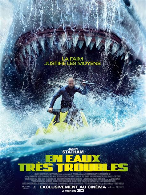 Critique Du Film En Eaux Tr S Troubles Allocin