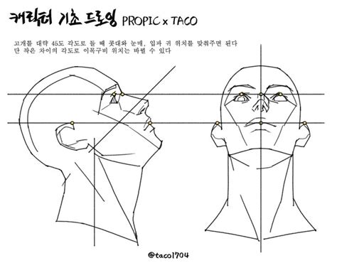 타코작가 On X 해부학 참고 자료 드로잉 강좌 해부학 예술