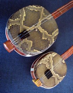 Chinese Musical Instruments Blog: Big and Small Sanxian