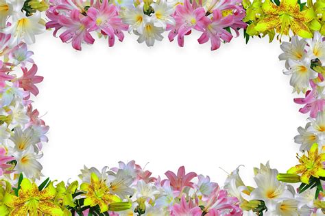 Floral Frame Background Graphic by Fstock · Creative Fabrica