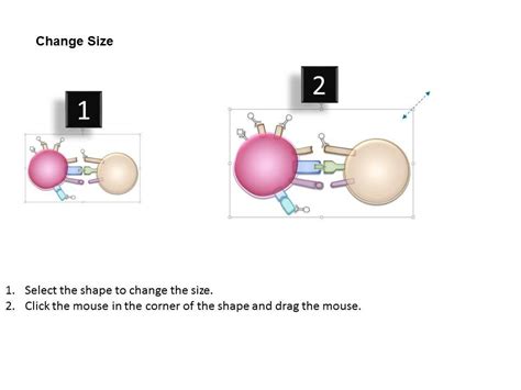 0614 T Lymphocyte B Lymphocyte Medical Images For Powerpoint