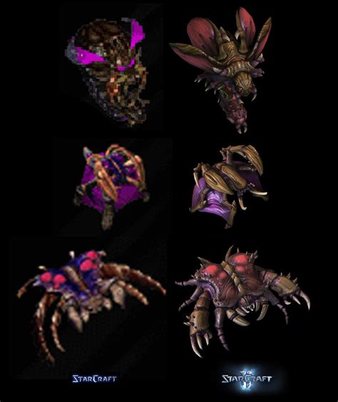 Zerg Compare by PhillGonzo on DeviantArt