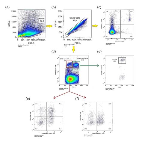 Immunophenotyping On Chicken Peripheral Blood Mononuclear Cells A