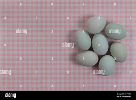 Grouping Of Blue Heirloom Eggs On A Pink And White Gingham Check