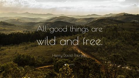 Henry David Thoreau Quote All Good Things Are Wild And Free” 7