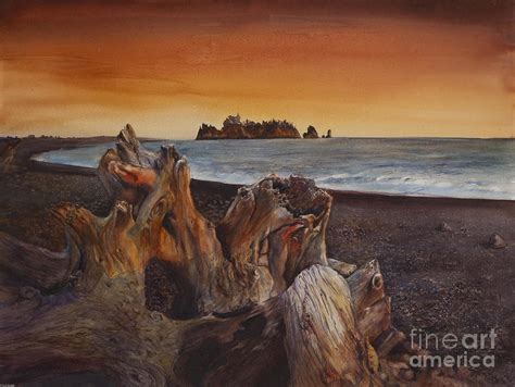 Driftwood on the Beach at Sunset Painting by Toni Roark | Fine Art America