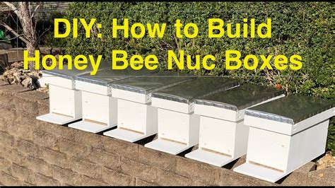 Building Nuc Boxes The Easy Way Using Pocket Holes Bee Nuc Pocket