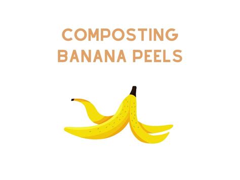 Can You Compost Banana Peels Effective Composting Wormskillwaste