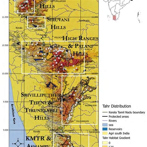 Nilgiri tahr habitat and sighting locations in the Nilgiri hills ...