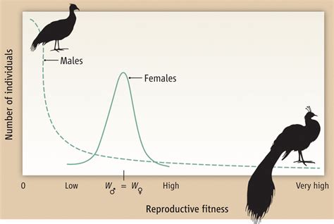 Constraints On Sexual Selection Science