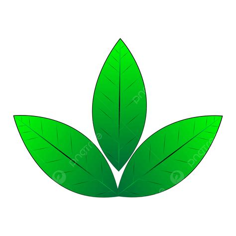 Leaf Designs Transparent Design Green And Yellow Most Beautifull Logo