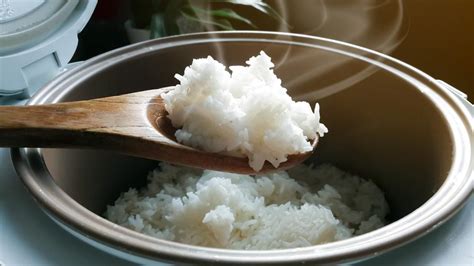 Dukung Pembagian Rice Cooker Gratis Dpr Pemerintah Dan Masyarakat