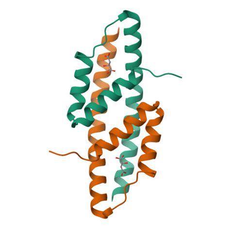 Rcsb Pdb Vkl X Ray Crystal Structure Of The Intracellular