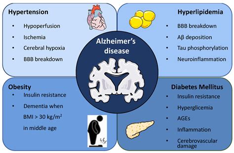 Ijms Free Full Text Metabolic Syndrome As A Risk Factor For Alzheimers Disease A Focus On