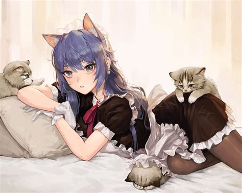 2 Catgirl Maid Cat Maid Hd Wallpaper Pxfuel