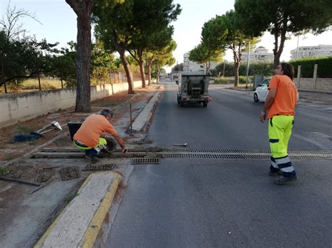 Comune Di Regalbuto Avviata La Pulizia Di Caditoie E Strade QdS