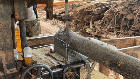 Integrating The Advanced Sawmill Machine Technology Of The Future Of