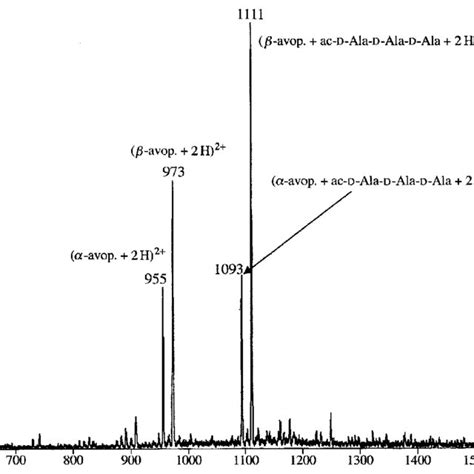 Nanoflow Esi Mass Spectrum Of A 5 Mm Aqueous Ammonium Acetate Solution