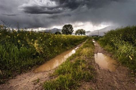 C Mo Se Produce El Olor A Tierra Mojada Meteorolog A En Red