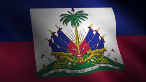 Flag Of Haiti Background Seamless Loop Stock Footage Sbv