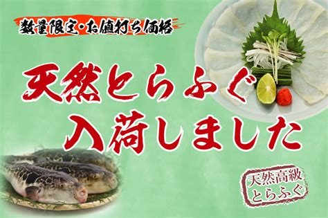 【数量限定】天然とらふぐコース販売開始！ 泳ぎとらふぐ料理専門店「とらふぐ亭」公式サイト