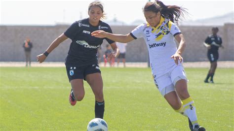 Dan A Conocer El Fixture Del Campeonato Femenino 2024 Contragolpe