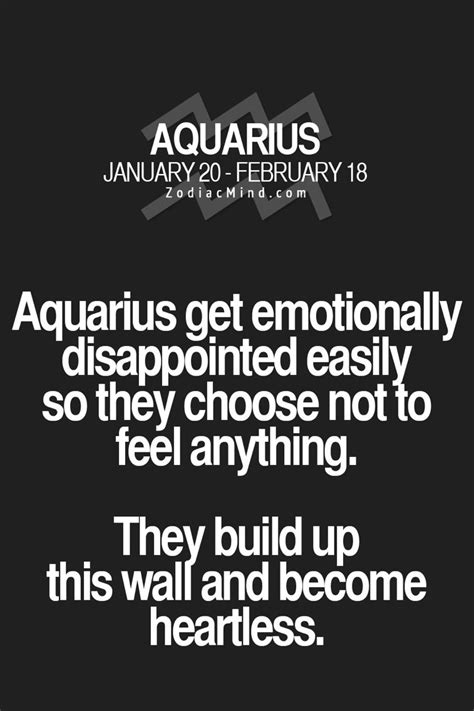 Day By Day Brick By Brick Aquarius Quotes Aquarius Truths Zodiac