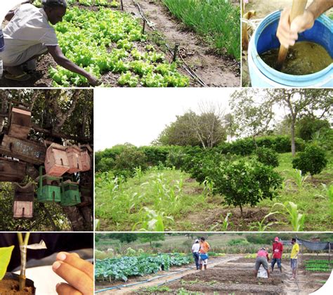 Objetivando convivência o semiárido EBDA apresenta projeto dos