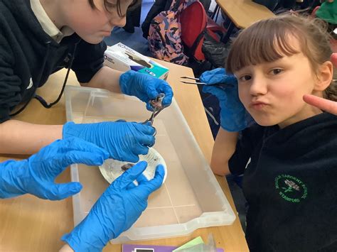 Malcolm Sargent Primary School Y6 Science
