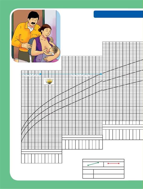 Libreta Salud Y Desarrollo Integral Infantil Bolivia LIBRETA DE SALUD