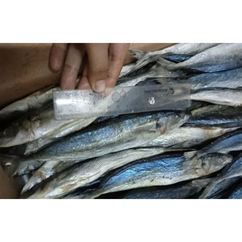 Jual Ikan Klotok Asin Layang Asin Super K1 Besar 250gram Shopee