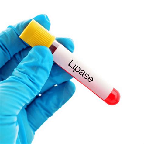 Lipase Lab Test Blood Testing Home Kit