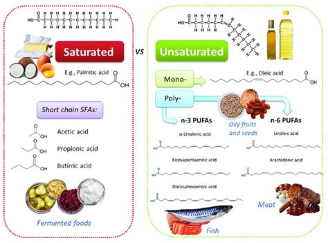 Chemically diverse lipid sources, with heterogeneous physico-chemical... | Download Scientific ...