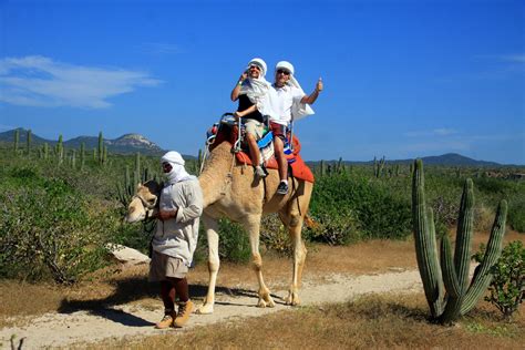 Outback & Camel Safari - México Travel Management