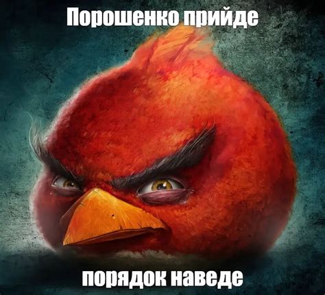 Create meme "The bird of Angri Birds, The evil bird of the Angri Birds ...