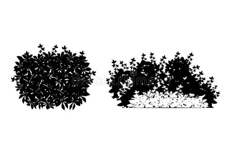 Shrubs Landscaping Texture Stock Illustrations 38 Shrubs Landscaping