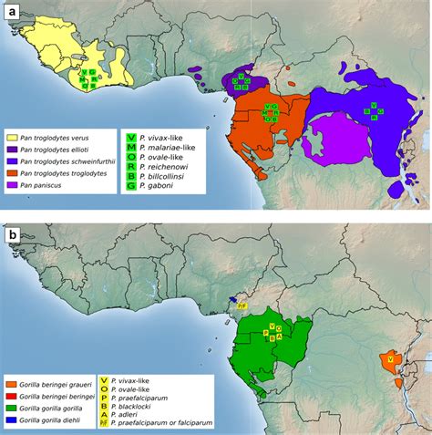 Distribution Of Plasmodium Species Detected In Wild Chimpanzees And