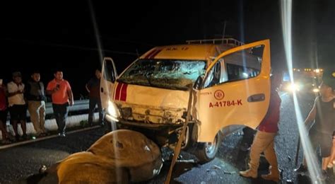 Toro Provoca Aparatoso Accidente En Oaxaca Y Fallece Tras El Impacto