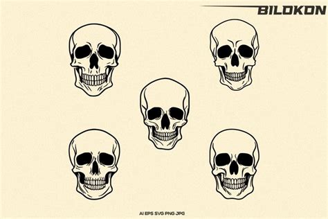 Skull Bundle Svg Halloween Skull Vector Svg