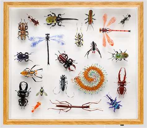 Wesley Fleming Artist Artwork Insect Collection