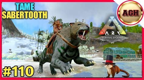 Fastest Way To Tame A Sabertooth Ark Survival Evolved Gameplay