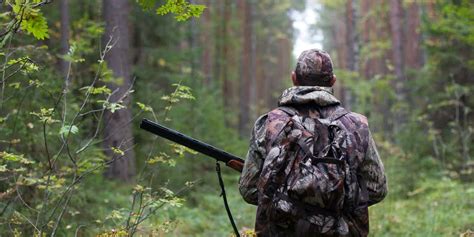 ultimate guide    types  aimpoint optics