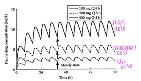 818 Multiple Dosing Regimens Flashcards Quizlet