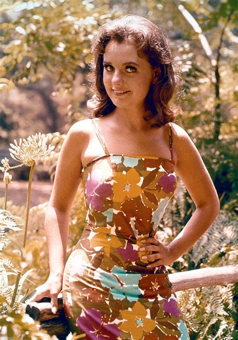 Gilligan S Island Tv Show Photo Celebrities Actresses Mary